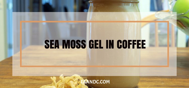 Can You Put Sea Moss Gel In Coffee