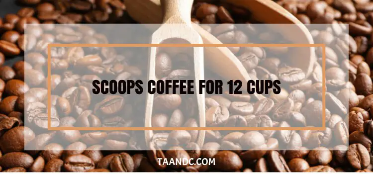 How Many Scoops Coffee For 12 Cups