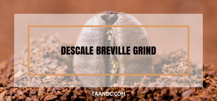 how to descale breville grind and brew coffee maker