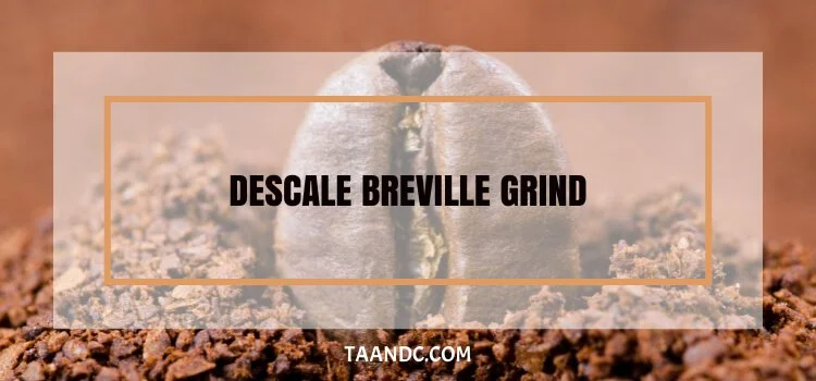 How To Descale Breville Grind And Brew Coffee Maker?